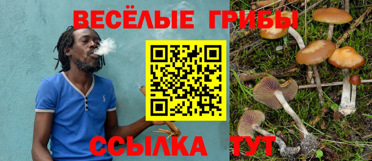 Галлюциногенные грибы Psilocybe  Псилоцибиновые грибы Magic Shrooms  Малгобек  Вход с VPN 